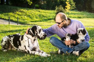 Man posing with his dogs (Great Dane, Shih Tzu, Chihuahua)