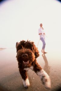 Young woman taking her dog for a walk on the beach
